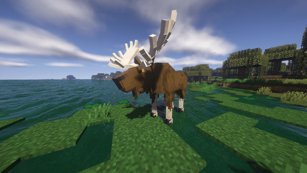 Better Animals Plus Official Site