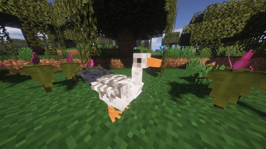 Better Animals Plus Official Site