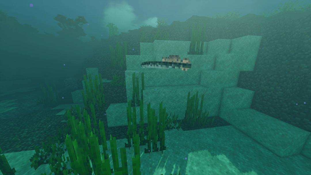 Better Animals Plus Official Site